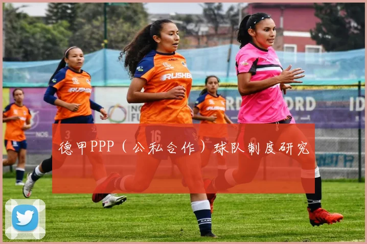 德甲PPP（公私合作）球队制度研究